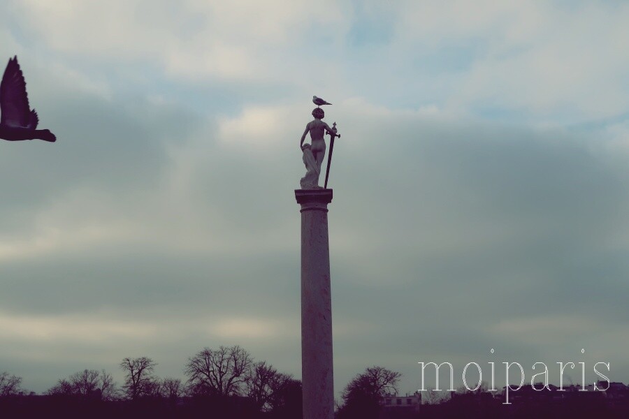 IMG_7345 - コピー