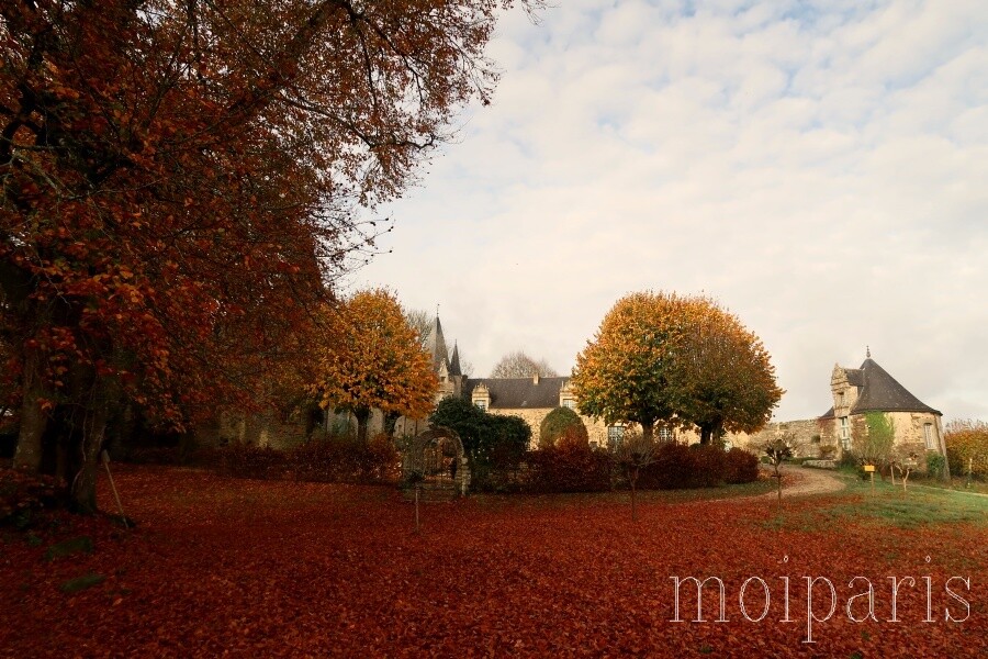 IMG_1647 - コピー