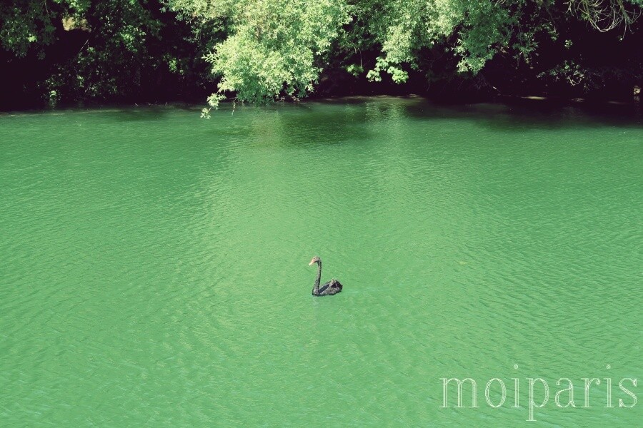 IMG_8822 - コピー