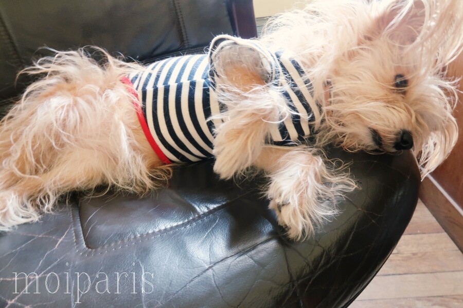 IMG_5078 - コピー