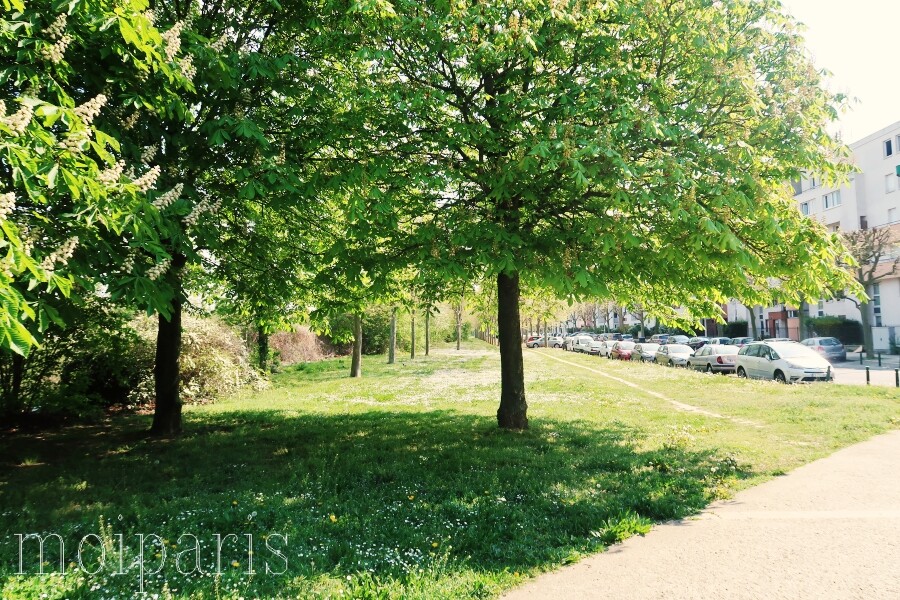 IMG_4934 - コピー