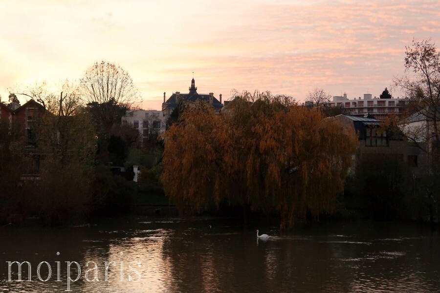 IMG_1515 - コピー