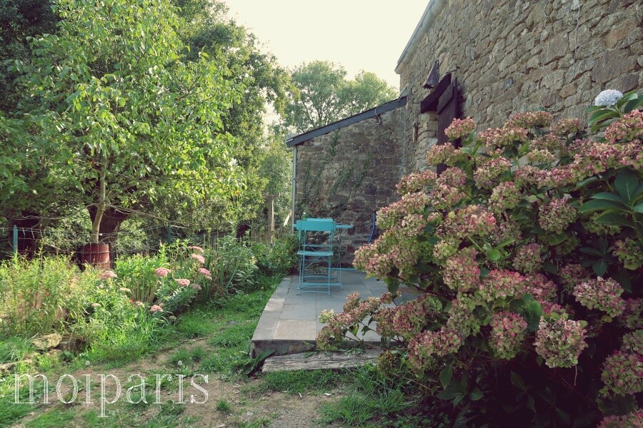 IMG_5446 - コピー