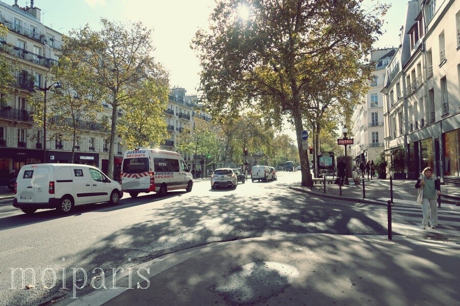 IMG_1101 - コピー