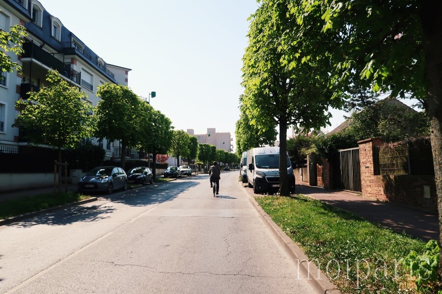 IMG_4930 - コピー