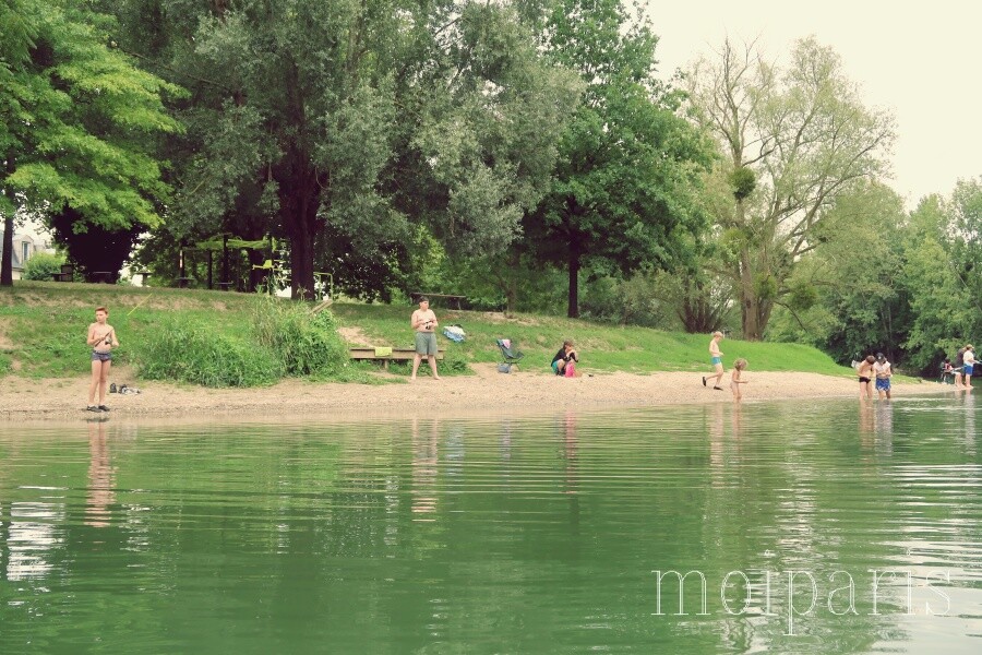 IMG_0210 - コピー