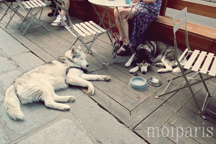 IMG_9042 - コピー