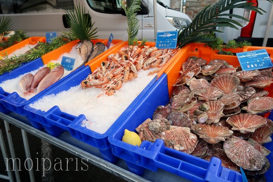 IMG_2011 - コピー