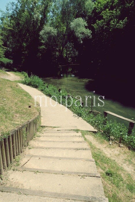 IMG_8871 - コピー