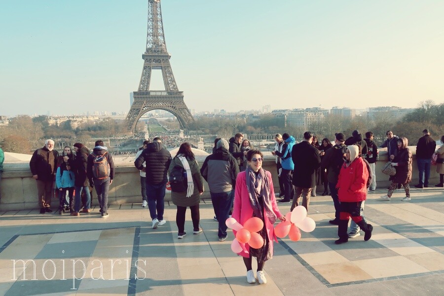 IMG_7995 - コピー