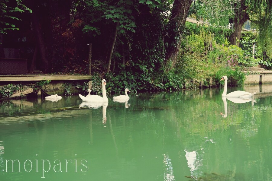 IMG_7830 - コピー