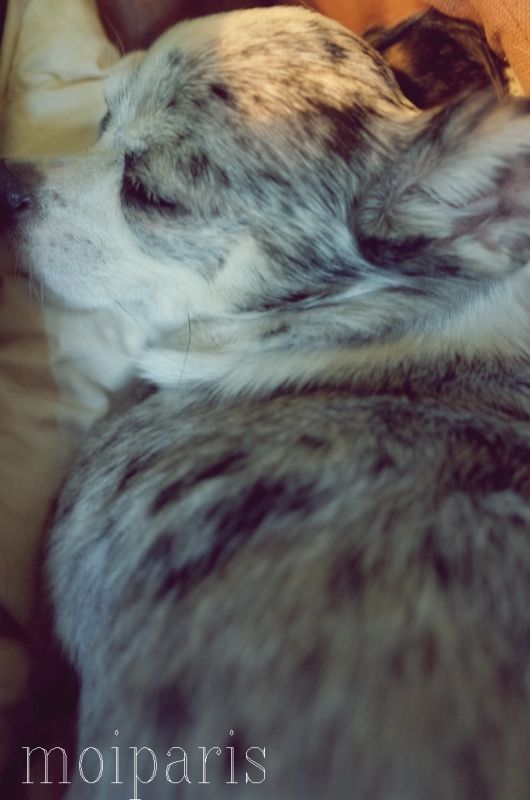 R0011530 - コピー