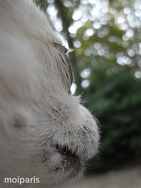 lrdAp7h4iuK1OgT1519109902_1519110010[1]