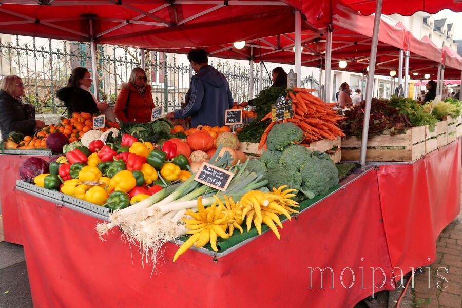 IMG_1996 - コピー