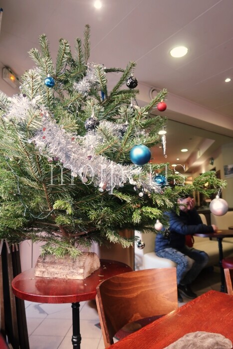 IMG_3063 - コピー