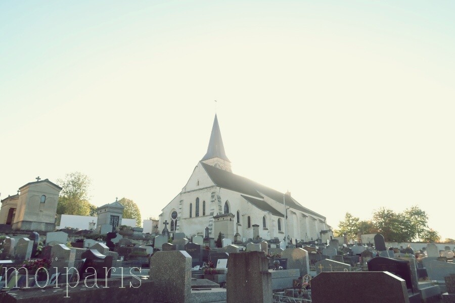 IMG_6664 - コピー