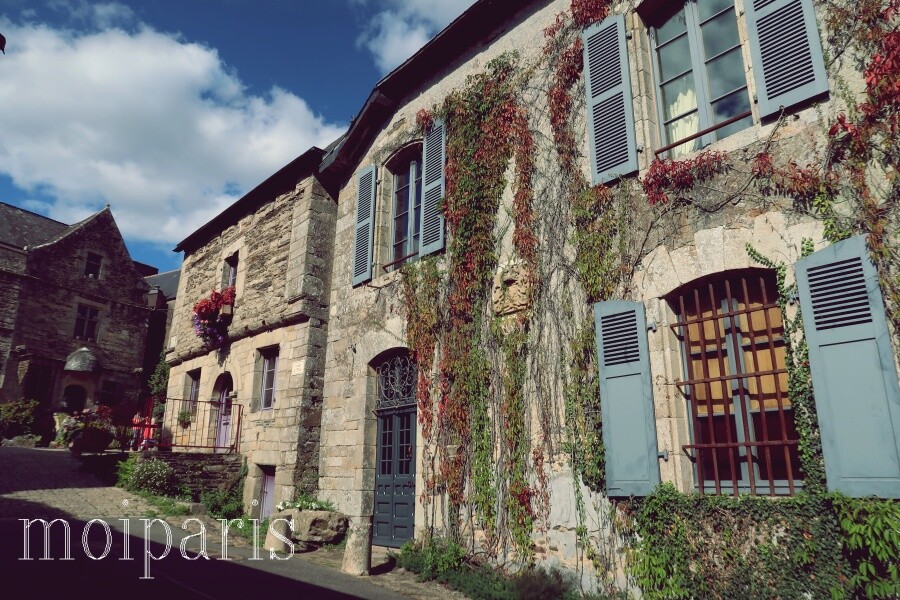 IMG_5524 - コピー