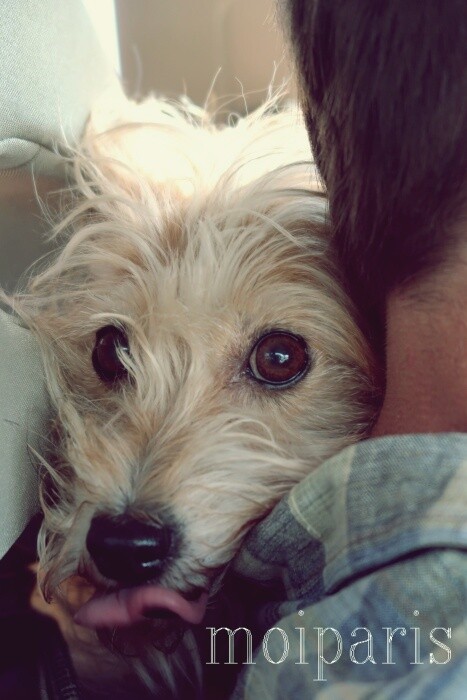 IMG_5430 - コピー