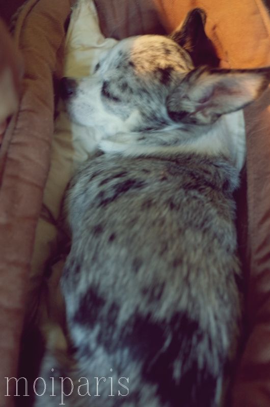 R0011532 - コピー