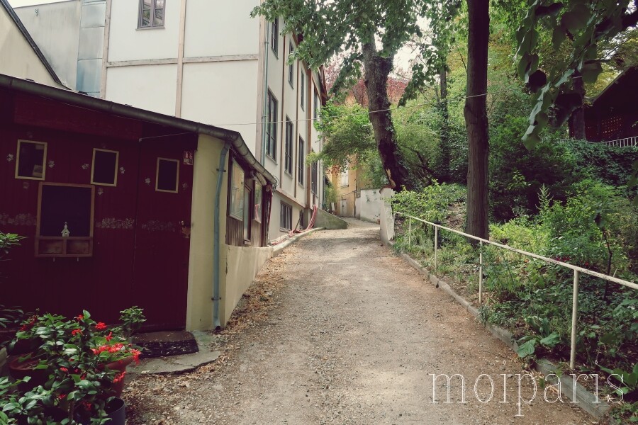 IMG_7936 - コピー