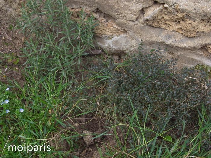 _PwVf82ozx3Bb2H1523277939_1523278024[1]