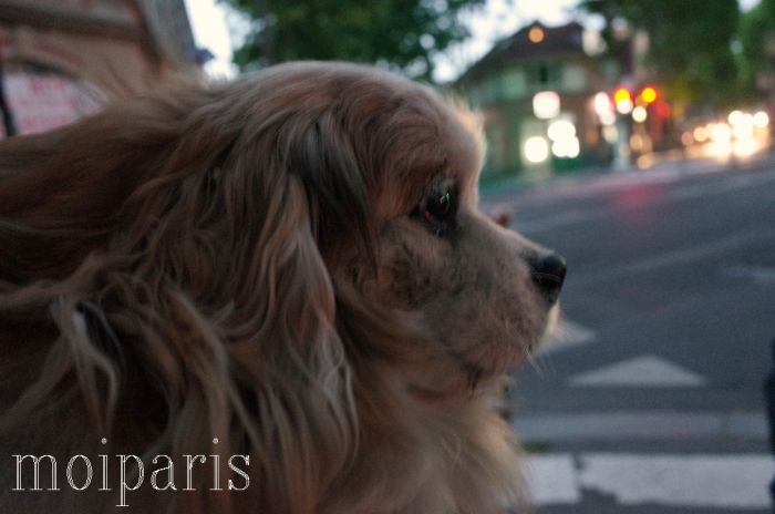 R0009374 - コピー