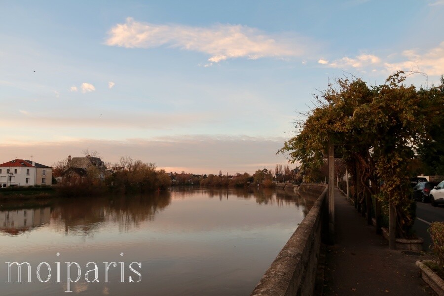 IMG_1489 - コピー