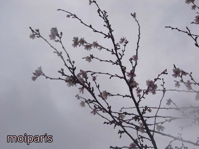 RIMG6241 - Copie