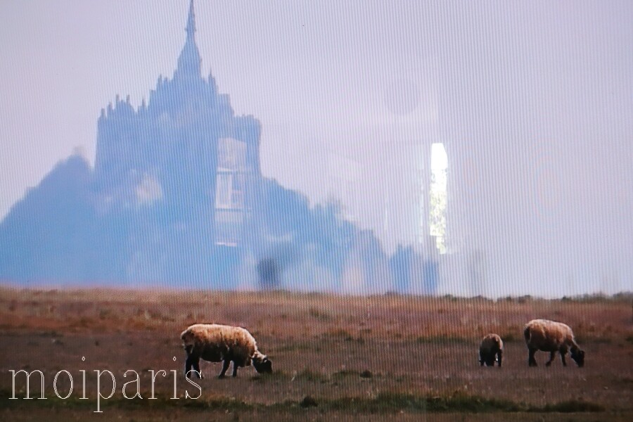 IMG_4603 - コピー