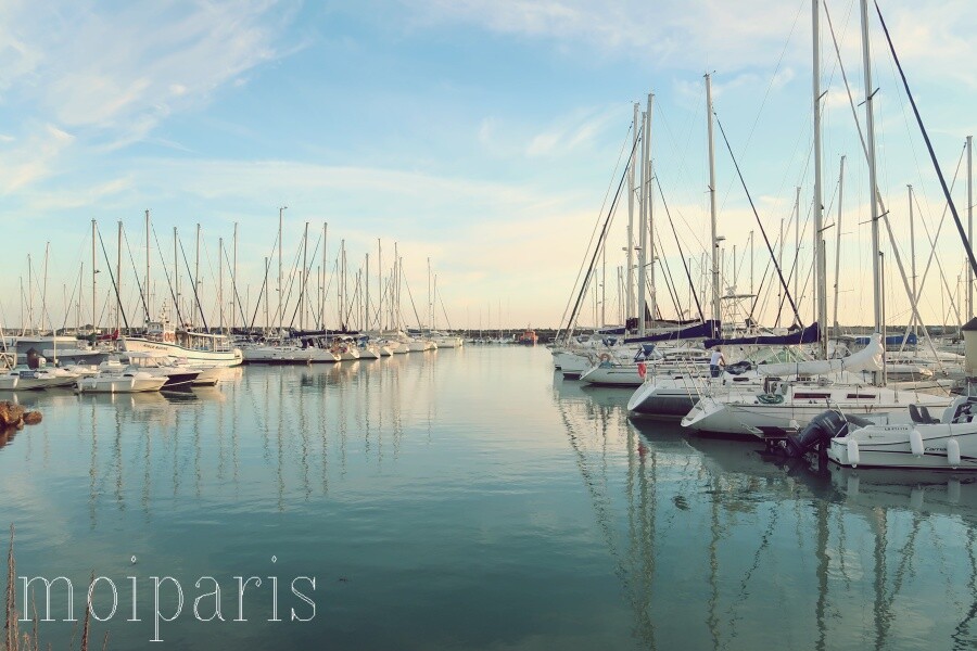 IMG_1462 - コピー