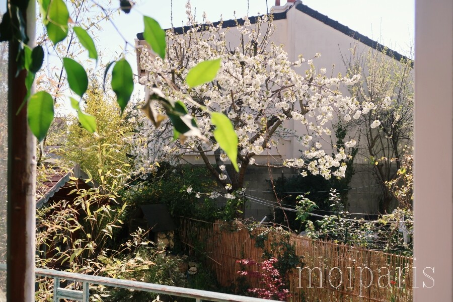 IMG_4798 - コピー