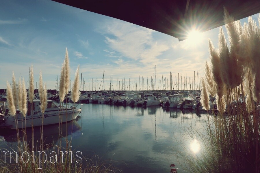 IMG_1461 - コピー