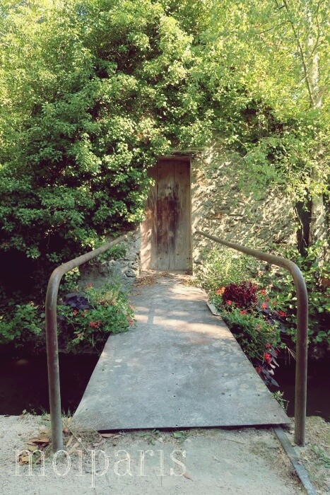 IMG_5158 - コピー