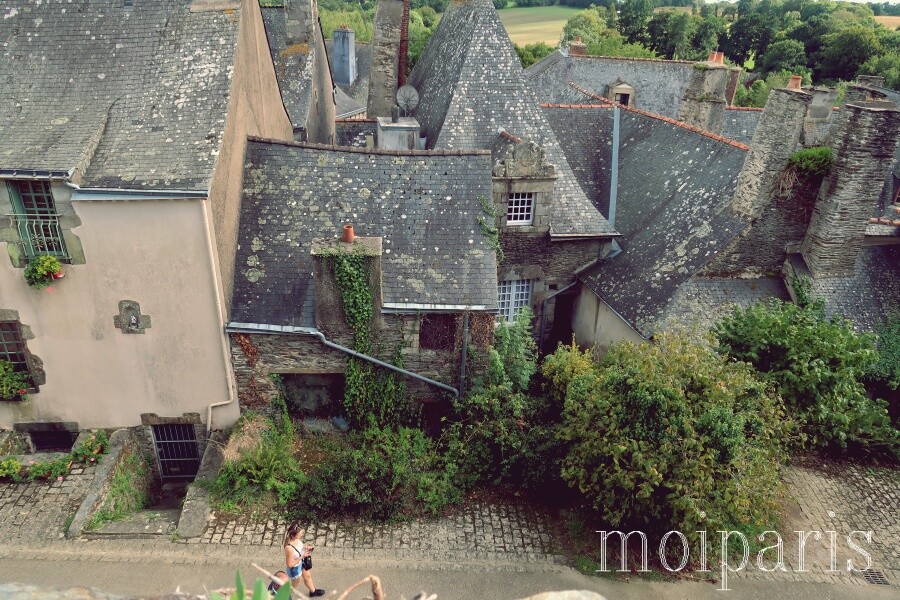 IMG_5521 - コピー