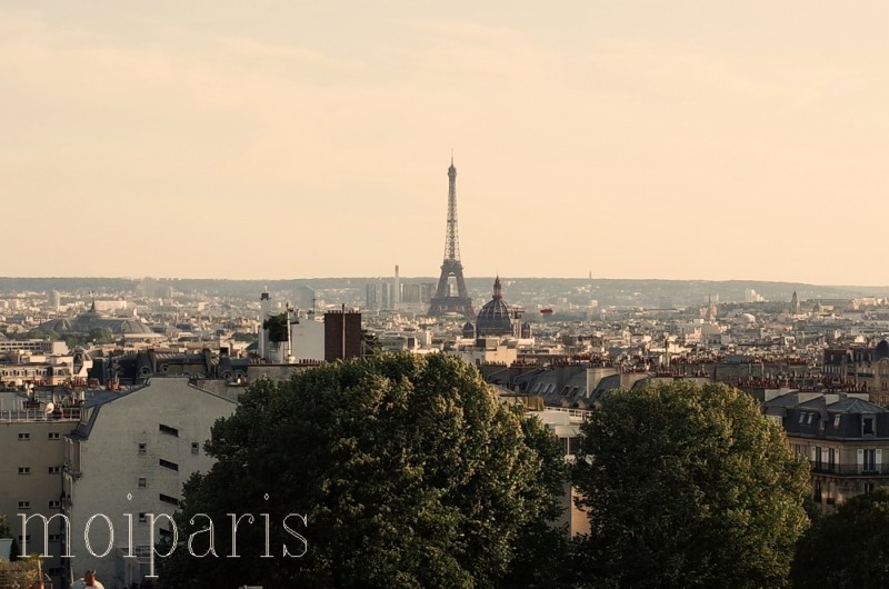 R0010512 - コピー (3) - コピー