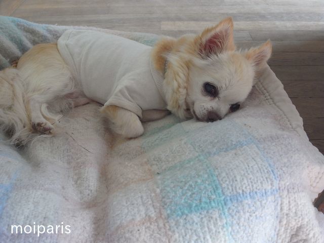 Q2Pkpgud0hvDRHD1519110843_1519110973[1]