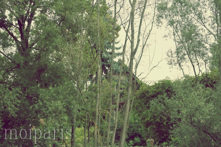 IMG_0207 - コピー