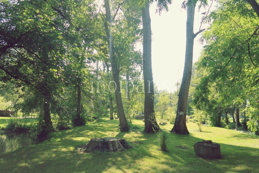 IMG_1097 - コピー