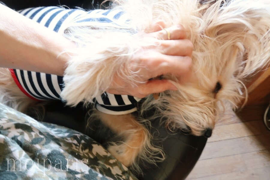 IMG_5073 - コピー