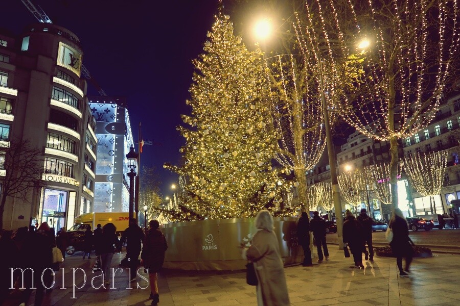 IMG_7446 - コピー