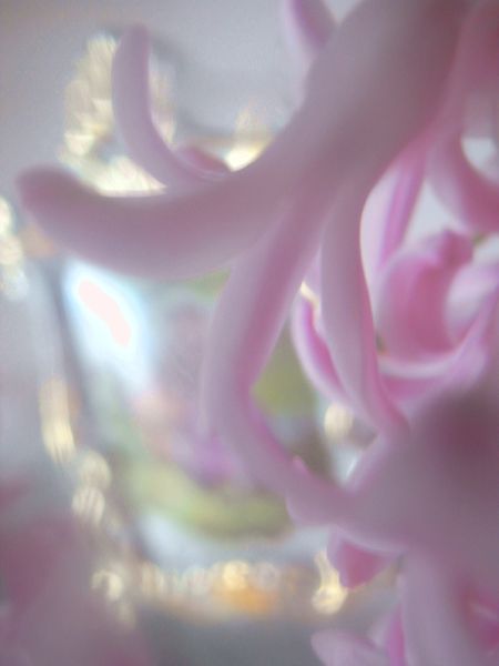 RIMG44363 - Copie