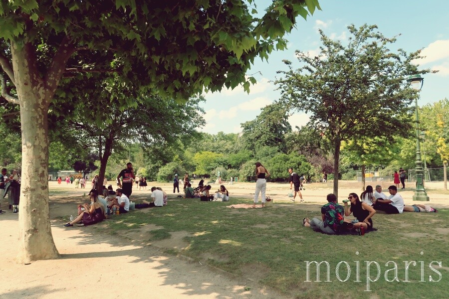 IMG_9055 - コピー