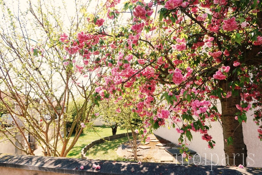 IMG_4944 - コピー