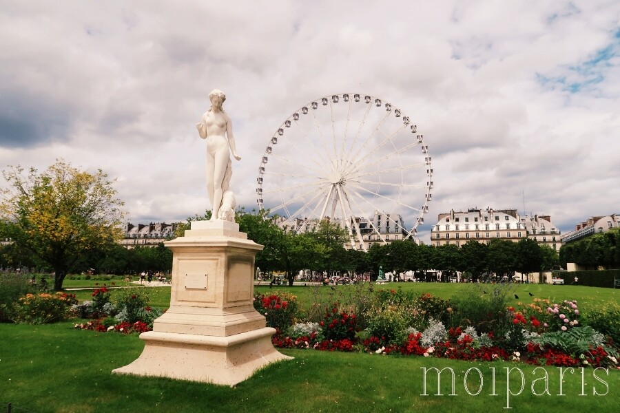 IMG_7541 - コピー