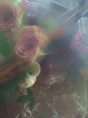 RIMG45512 - Copie - Copie - Copie