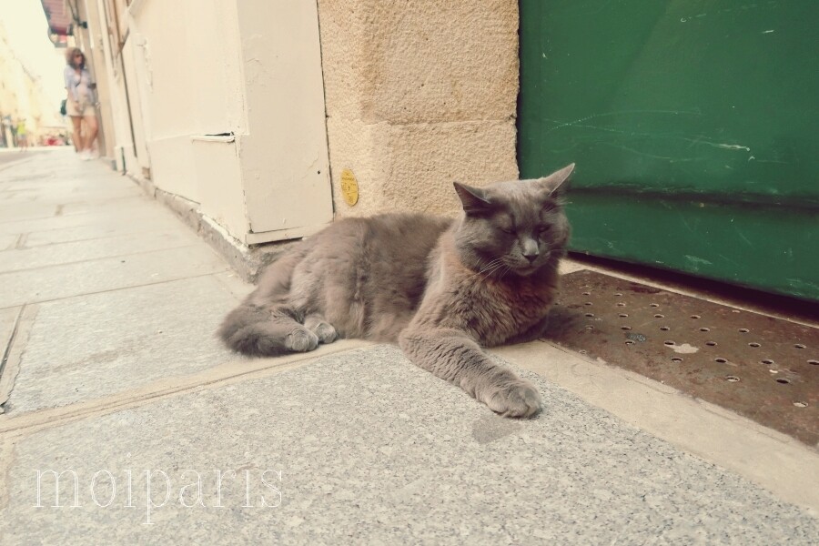 IMG_0198 - コピー