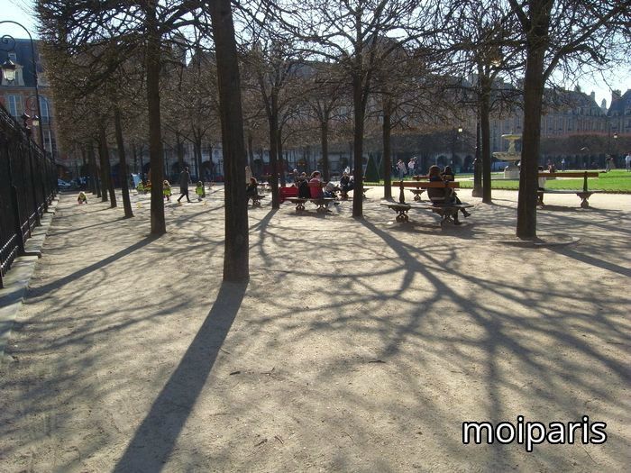 RIMG6689 - Copie