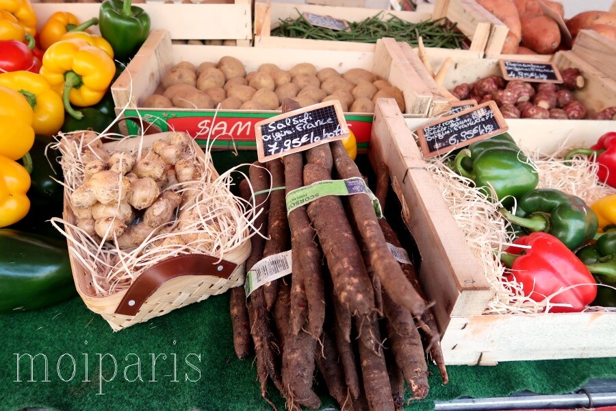 IMG_2015 - コピー