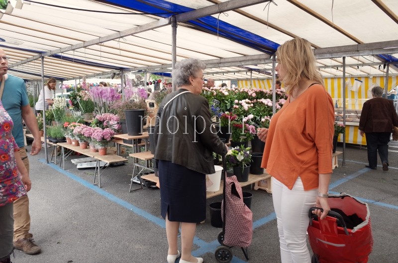 R0008921 - コピー