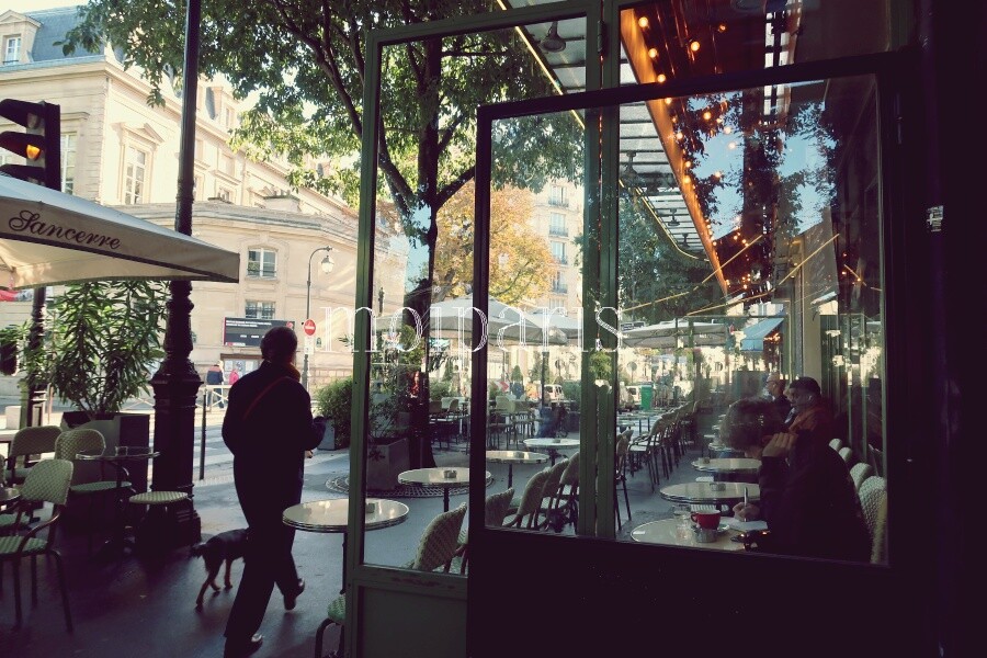 IMG_1063 - コピー